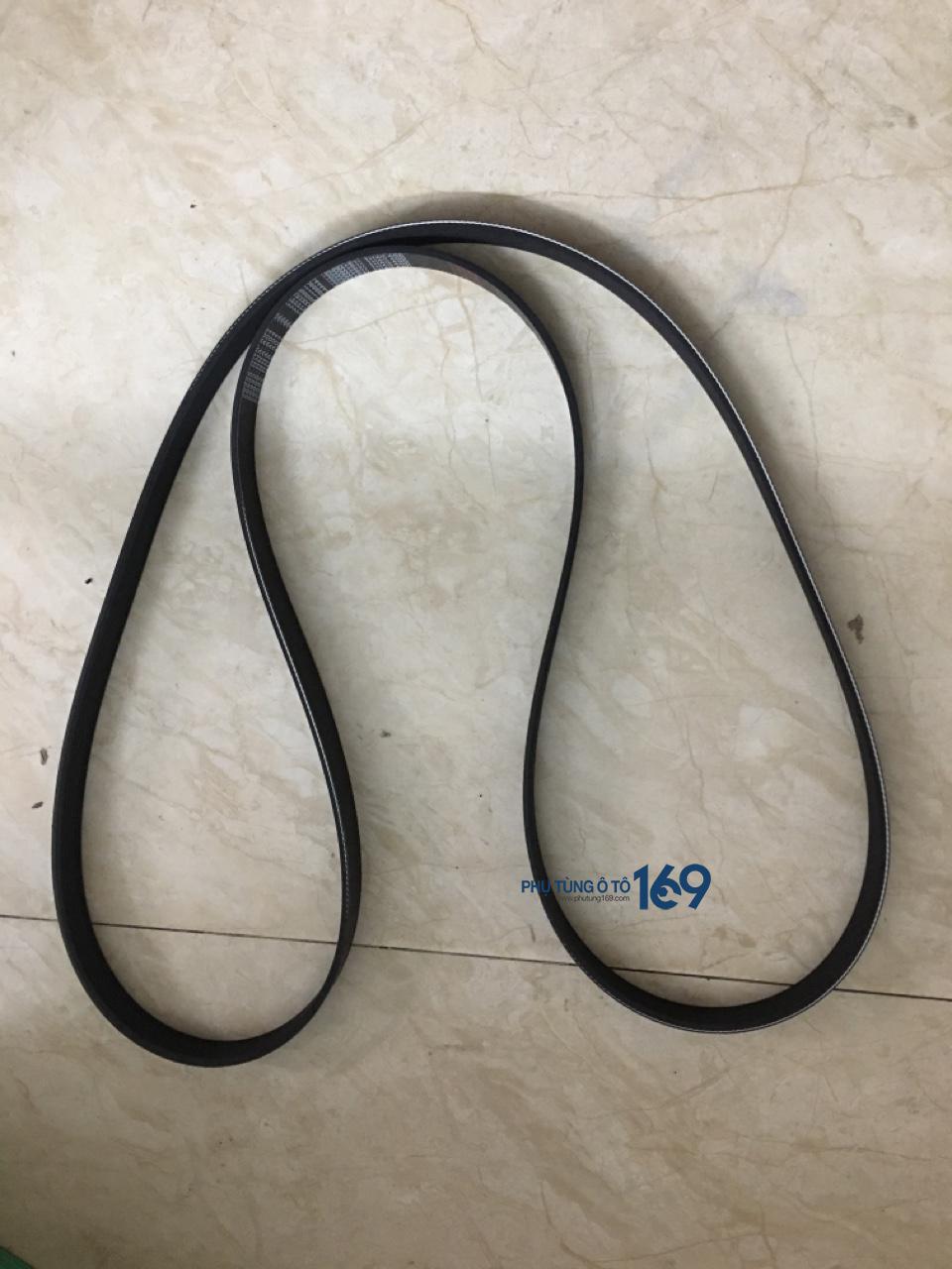 Dây Curoa tổng Hyundai Accent Dây Curoa tổng Hyundai Accent