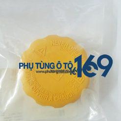 Nắp bình nước phụ Daewoo Gentra