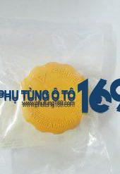 Nắp bình nước phụ Daewoo Gentra