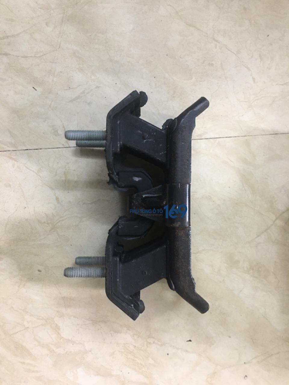 cao-su-duoi-hop-so (2)