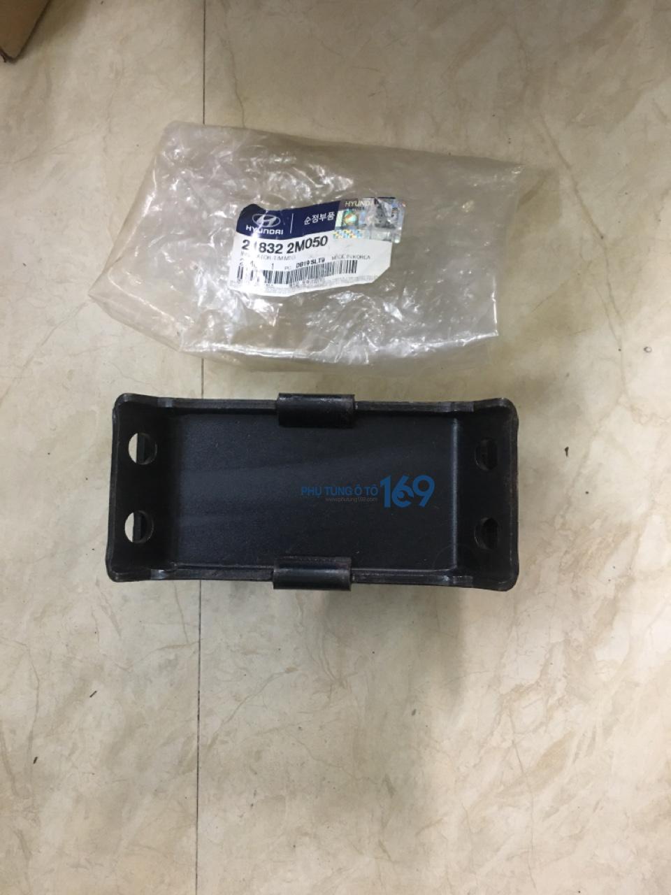 cao-su-duoi-hop-so (3)