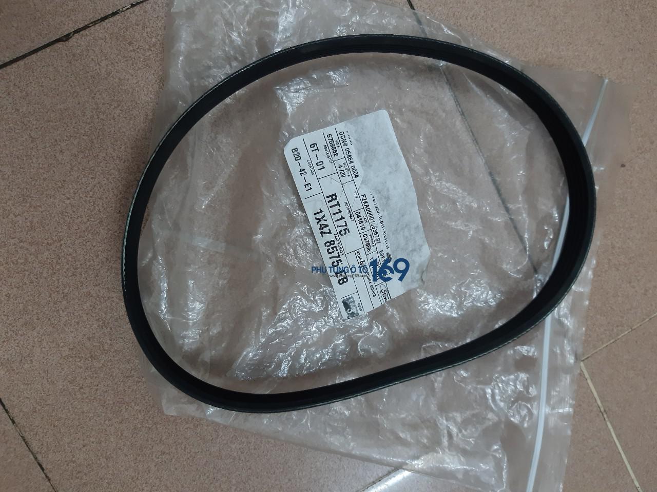 Dây curoa điều hòa Ford Focus Dây curoa điều hòa Ford Focus