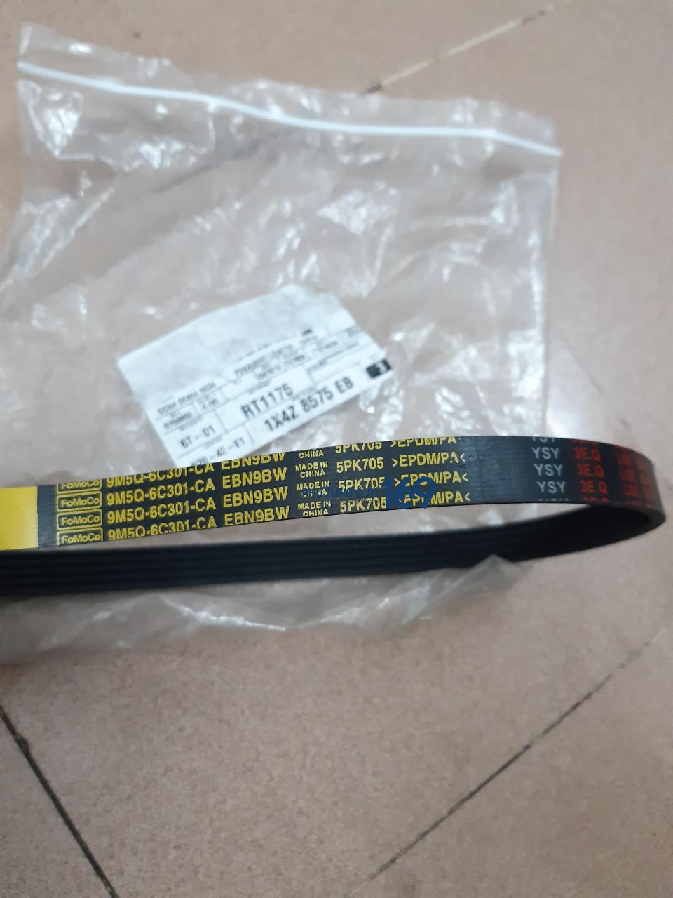 Dây curoa điều hòa Ford Focus Dây curoa điều hòa Ford Focus