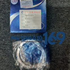 Xéc măng cos0 Dongfeng Peugeot