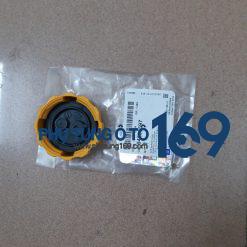 Nắp bình nước phụ Chevrolet Lacetti