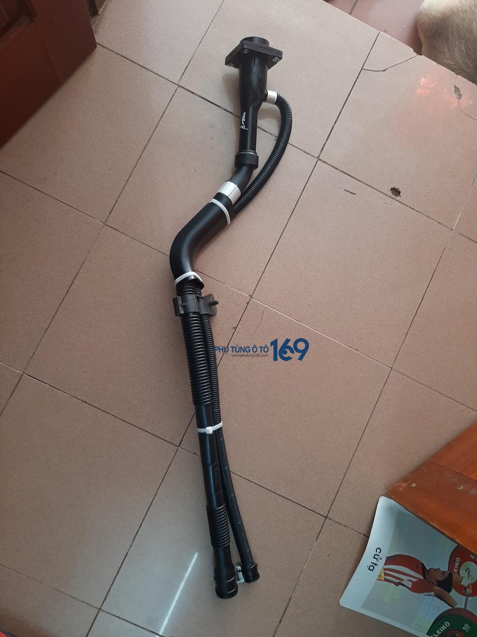 c5828dcb49e2b4bcedf3