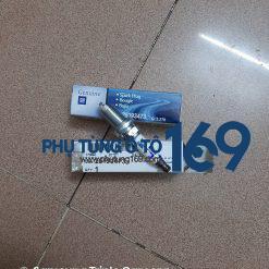 Bugi Chevrolet Orlando