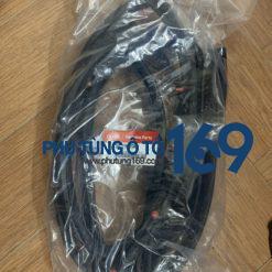 Gioăng cánh cửa sau trái Kia Rio