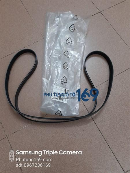 Dây cu roa tổng Peugeot 408 Dây cu roa tổng Peugeot 408