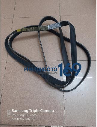 Dây curoa Tổng Ford Ranger Dây curoa Tổng Ford Ranger