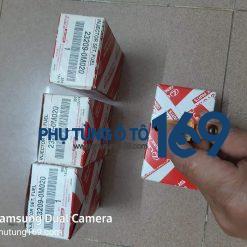 Kim phun Toyota Vios