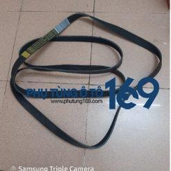 Dây curoa Tổng Ford Ranger