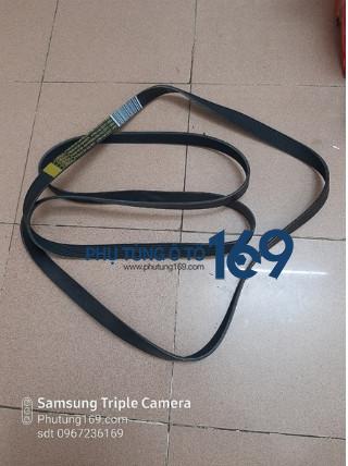 Dây curoa Tổng Ford Ranger Dây curoa Tổng Ford Ranger