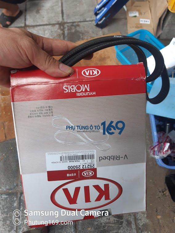 Dây curoa tổng Kia Carens Dây curoa tổng Kia Carens