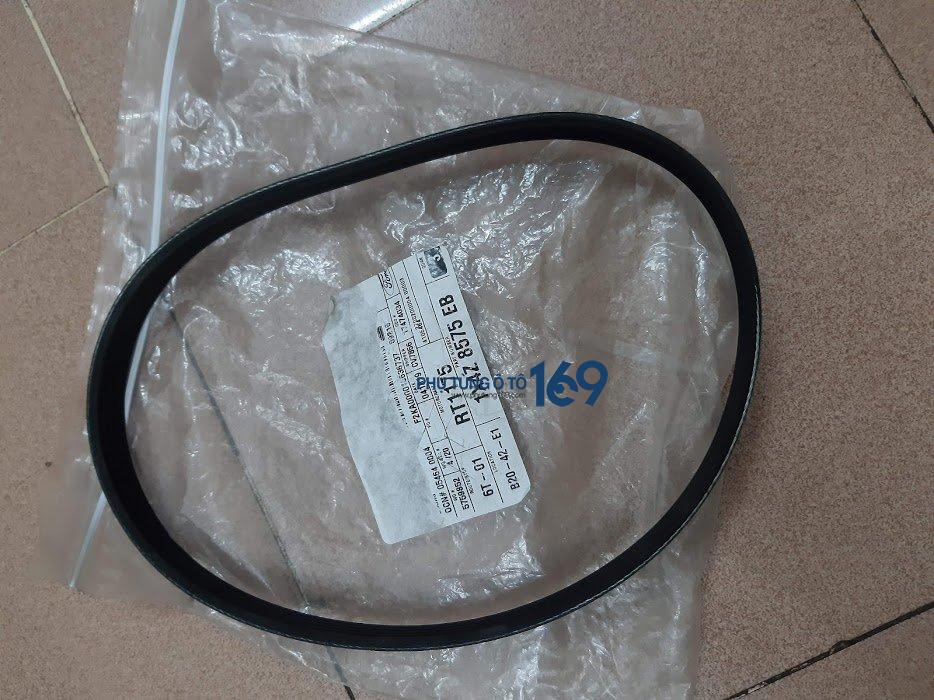 Dây curoa trợ lực lái Ford Focus Dây curoa trợ lực lái Ford Focus