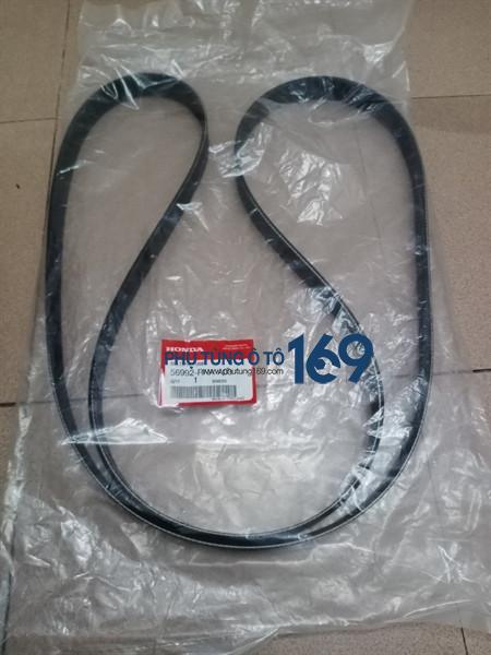 Dây curoa tổng Honda Civic Dây curoa tổng Honda Civic