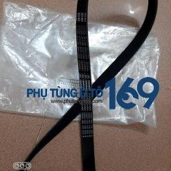 Dây curoa tổng Nissan Livina