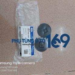 Cao su đồng tiền Ford Range