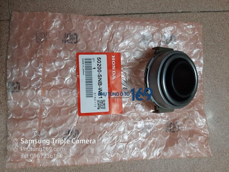 Bite Honda Civic Bite Honda Civic