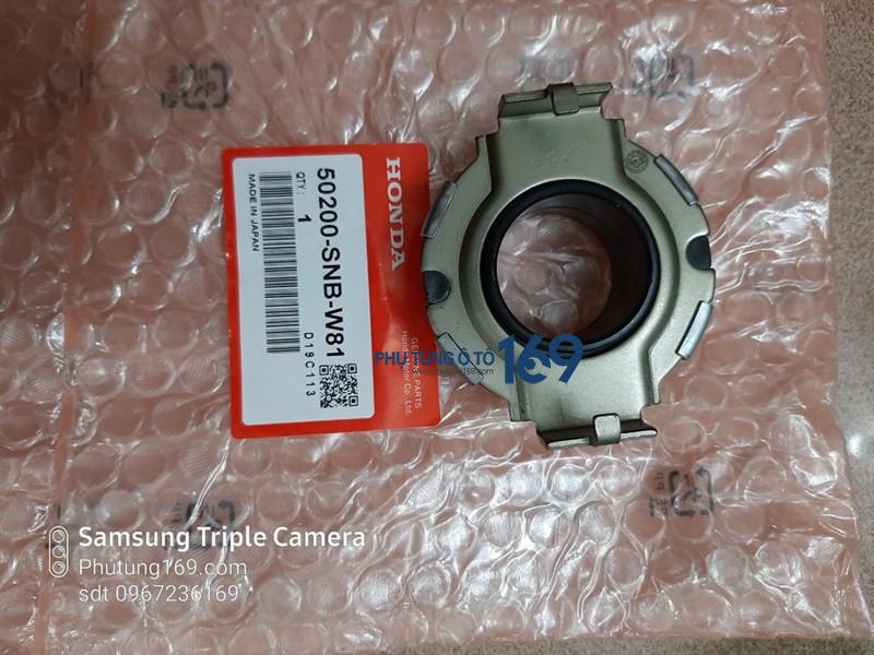 Bite Honda Civic Bite Honda Civic