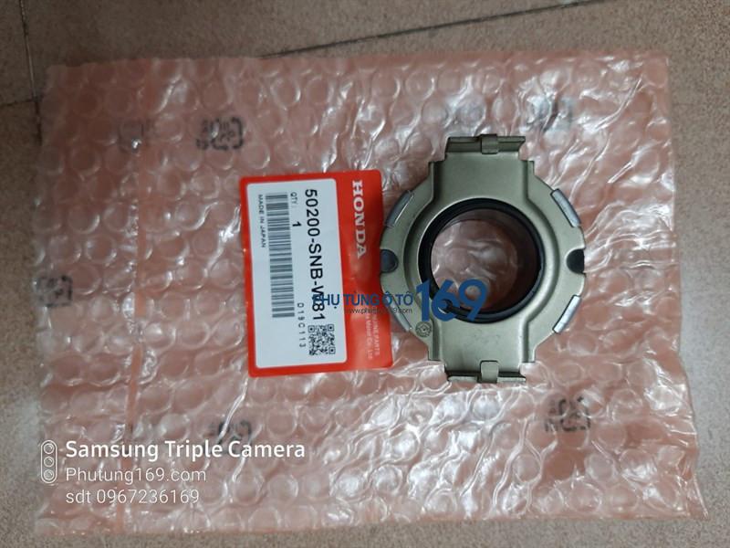 Bite Honda Civic Bite Honda Civic