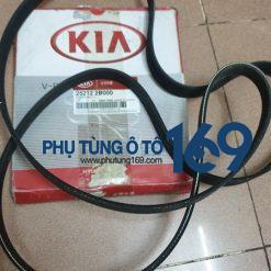 Dây curoa tổng Forte
