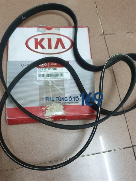 Dây curoa tổng Forte Dây curoa tổng Forte