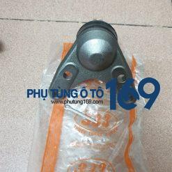 Rotuyn đứng trên Ford Everest