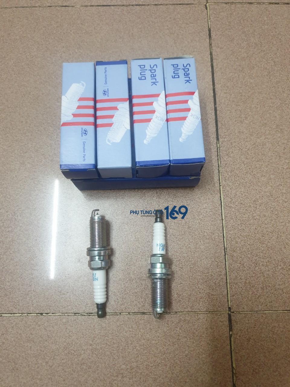 Bugi Carnival Bugi Carnival