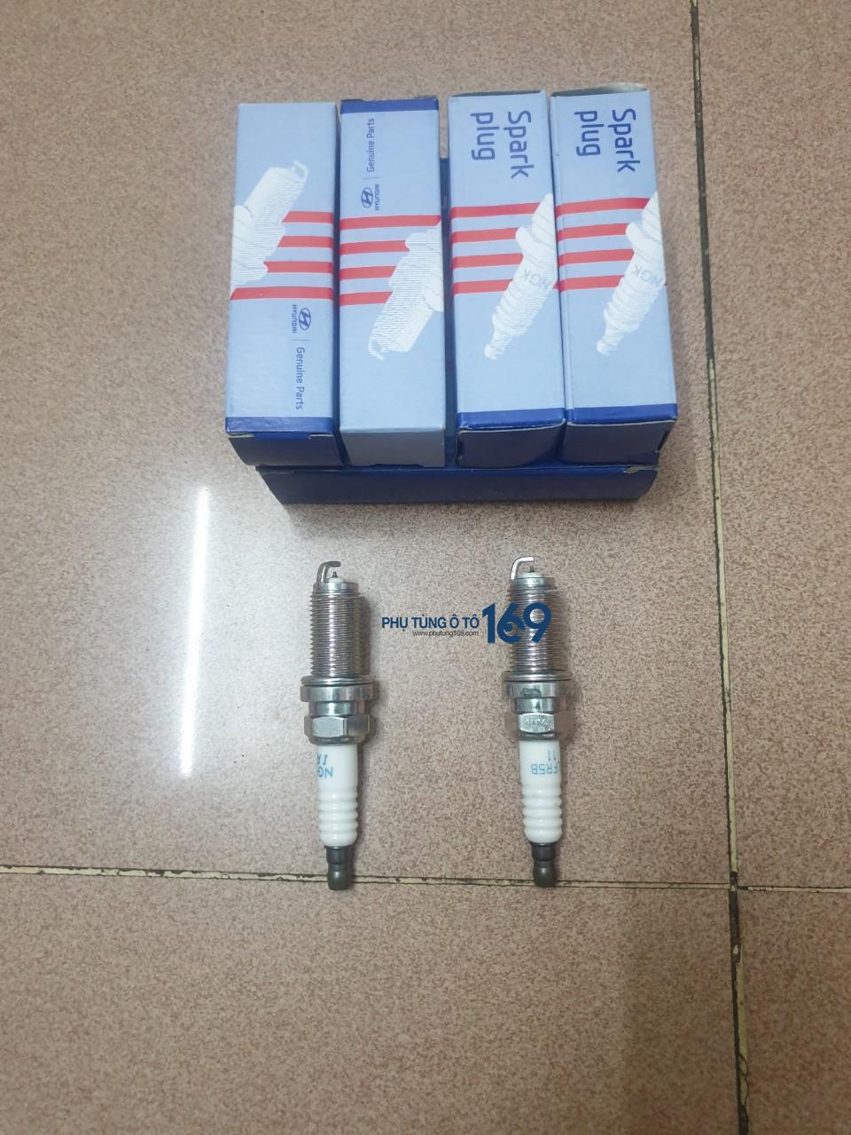 Bugi Carnival Bugi Carnival