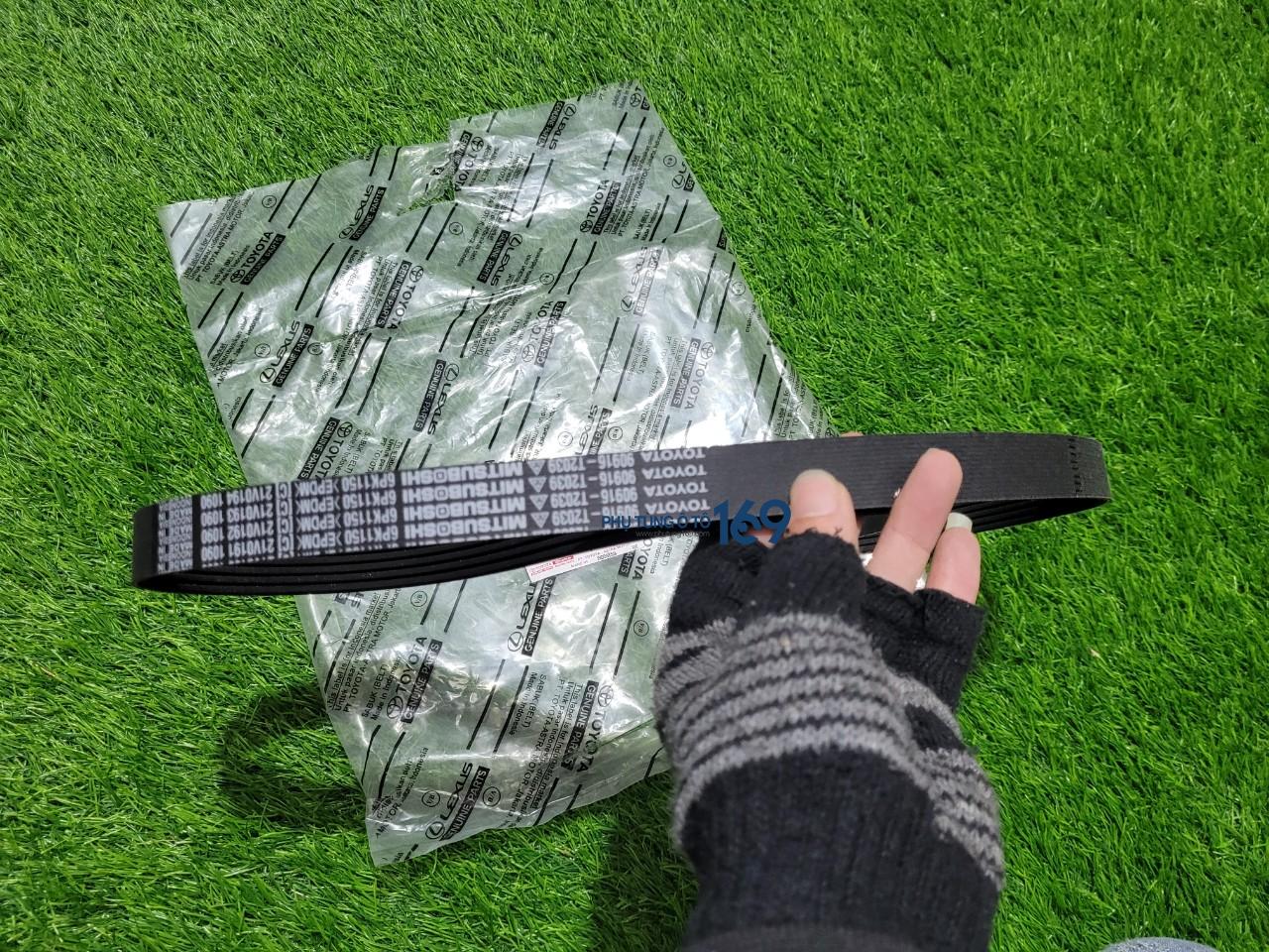 Dây curoa tổng Vios Dây curoa tổng Vios