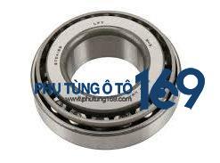 Bi láp sau Colorado