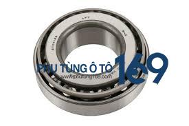 Bi láp sau Colorado Bi láp sau Colorado