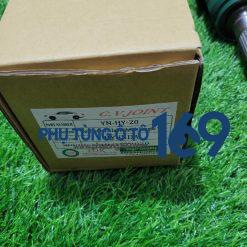 Cây láp phụ Cerato