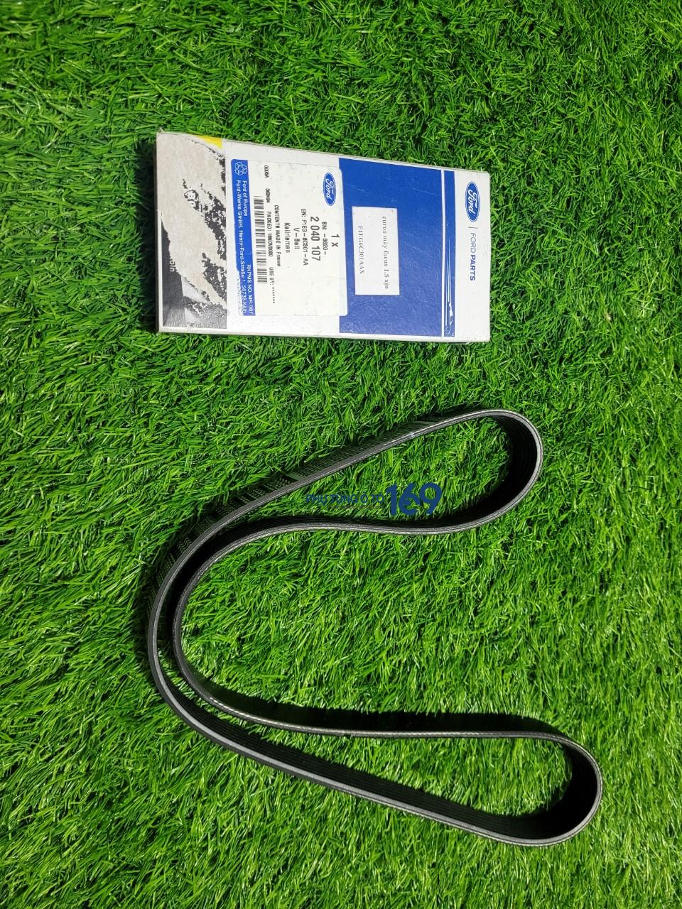 Dây curoa tổng Focus Dây curoa tổng Focus