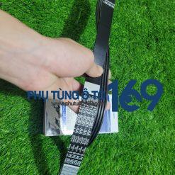 Dây curoa tổng Focus