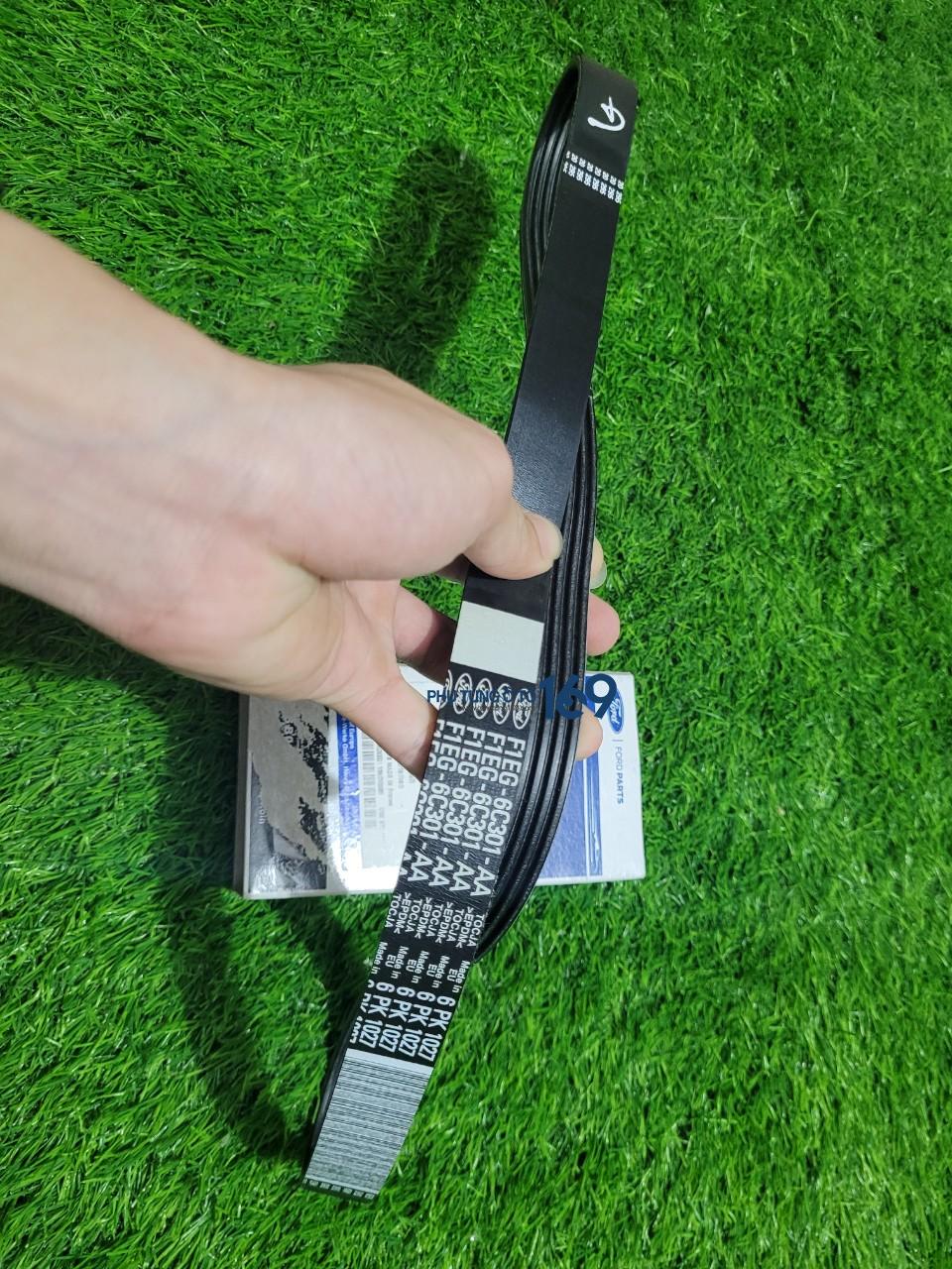 Dây curoa tổng Focus Dây curoa tổng Focus