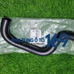 Ống nước trên Morning