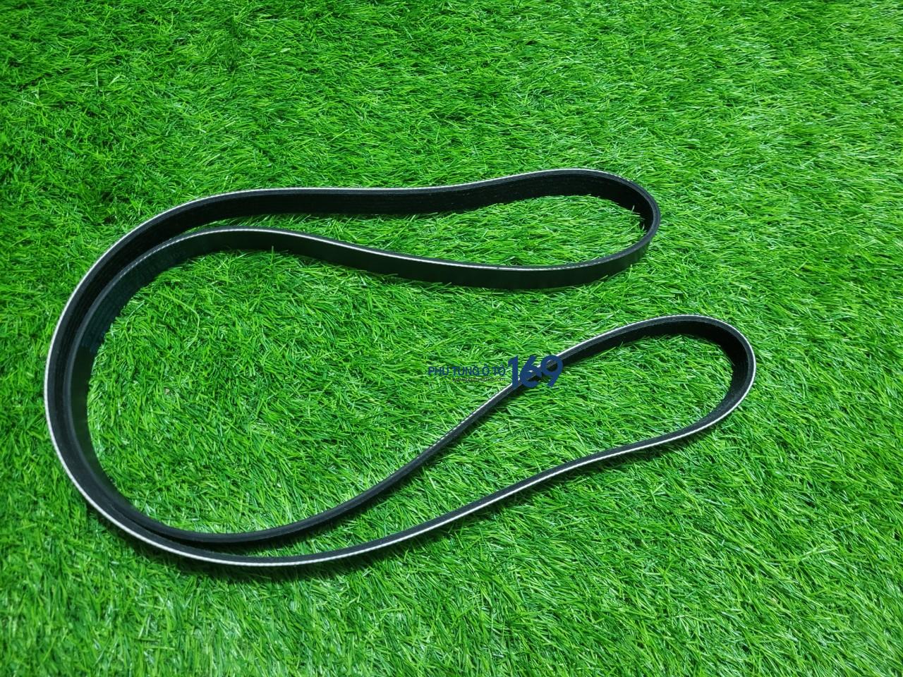 Dây curoa tổng Mazda 2 Dây curoa tổng Mazda 2