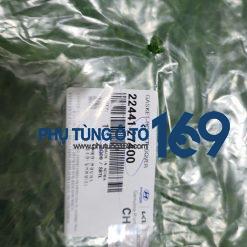 Gioăng dàn cò Santafe