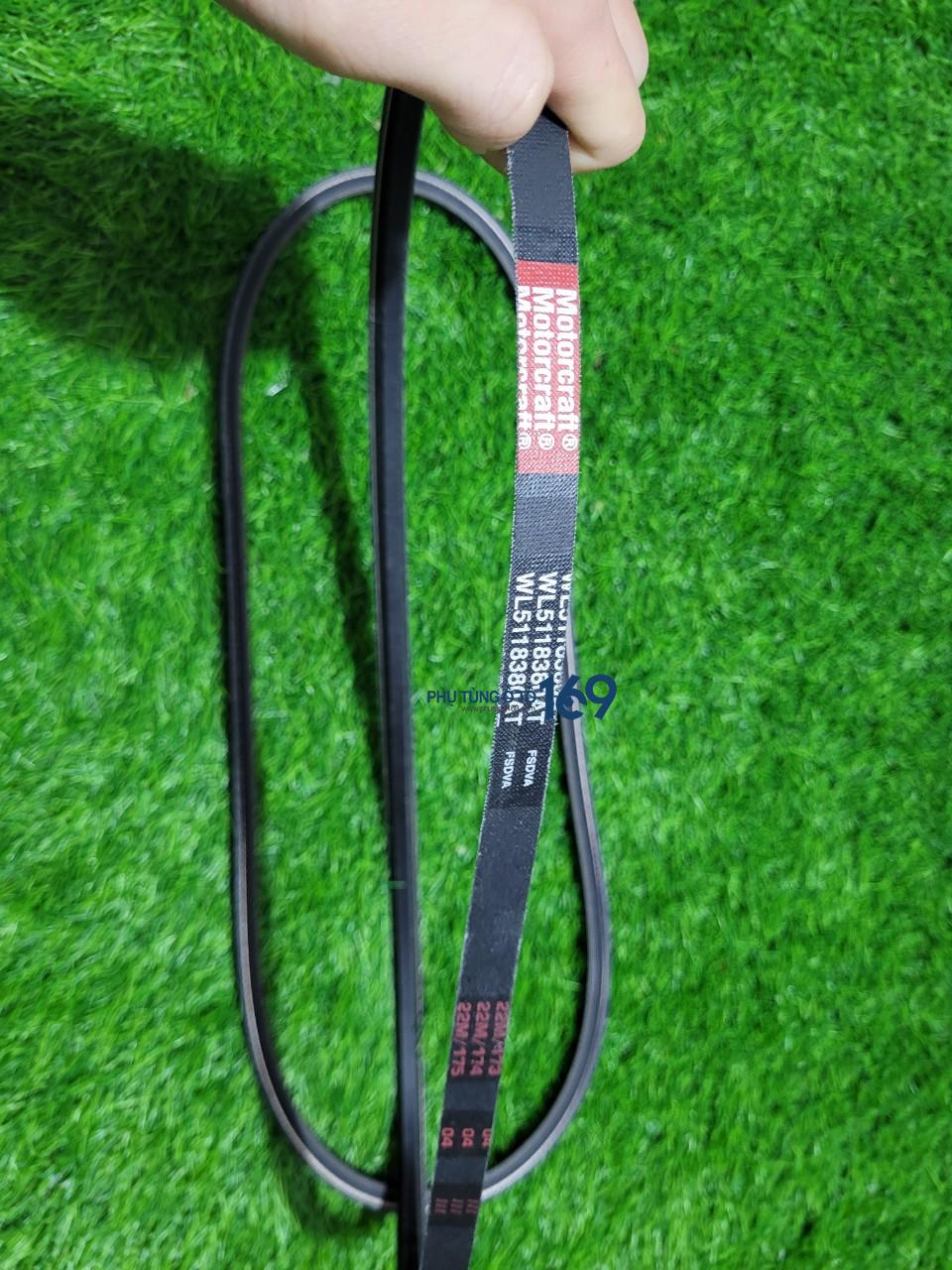 Dây curoa bơm nước Everest Dây curoa bơm nước Everest