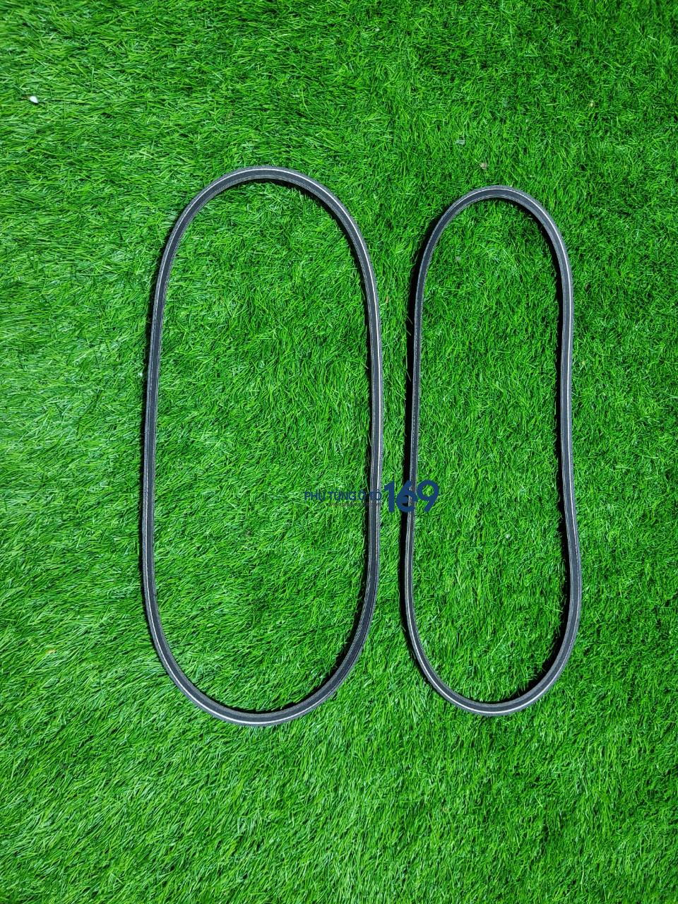 Dây curoa bơm nước Everest Dây curoa bơm nước Everest