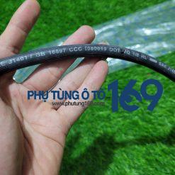 Tuy ô phanh trước Everest