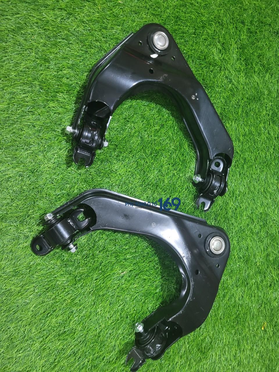 Càng a sau phụ Magnus Càng a sau phụ Magnus