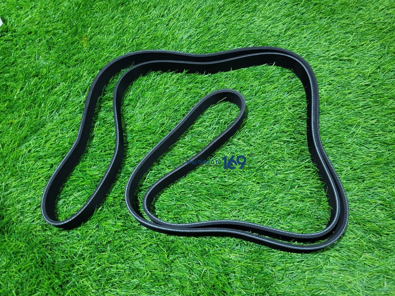 Dây curoa tổng Sprinter Dây curoa tổng Sprinter