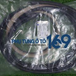 Gioăng thành cánh cửa Aveo