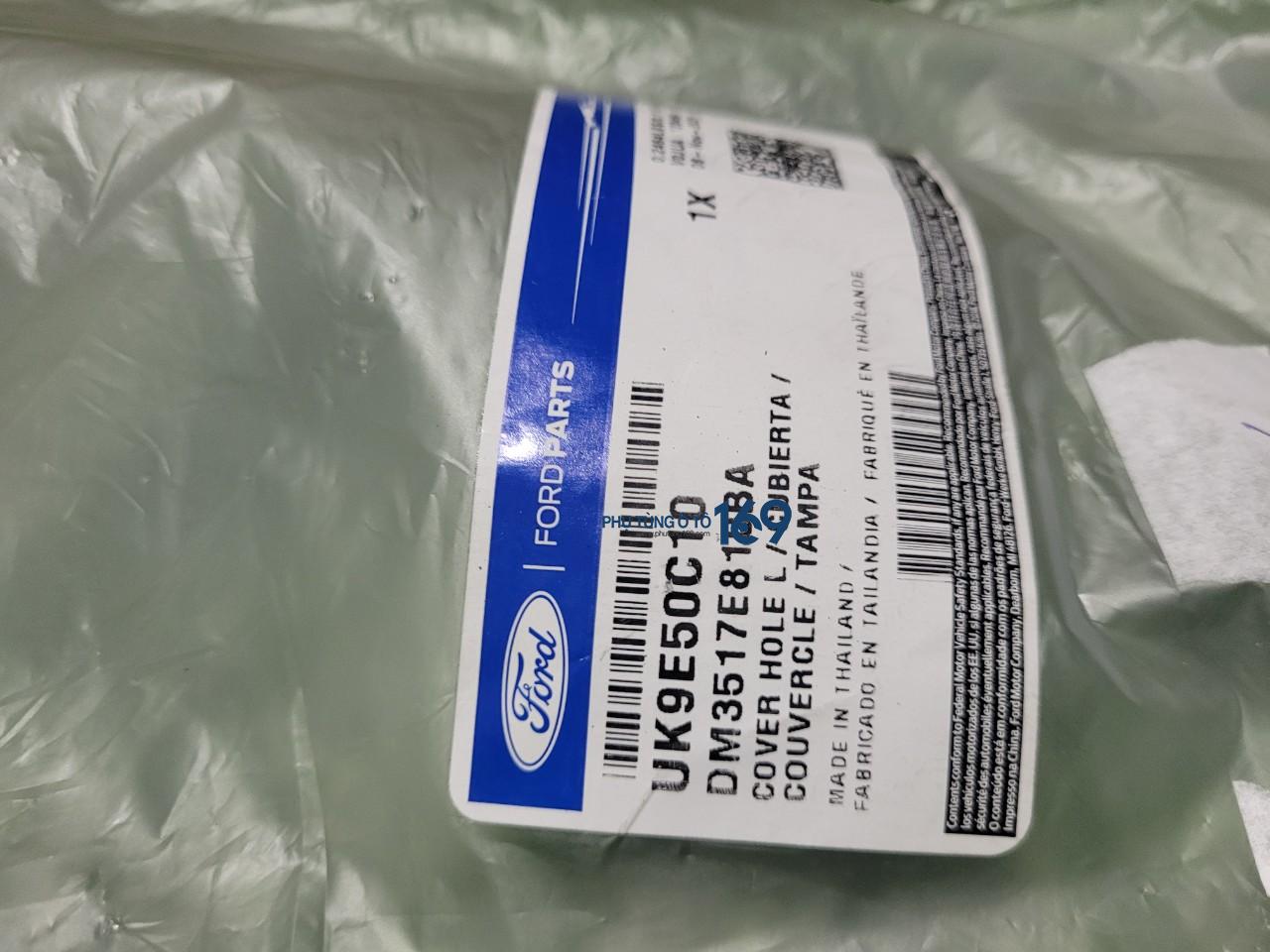 Ốp đèn gầm trái Everest Ốp đèn gầm trái Everest