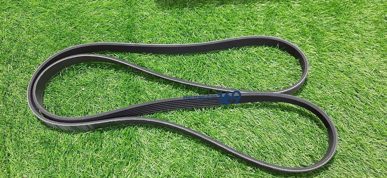 Dây curoa tổng Acura Mdx Dây curoa tổng Acura Mdx