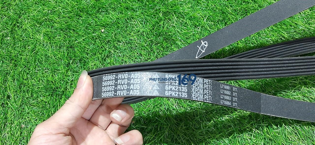 Dây cu roa tổng Acura Mdx Dây cu roa tổng Acura Mdx