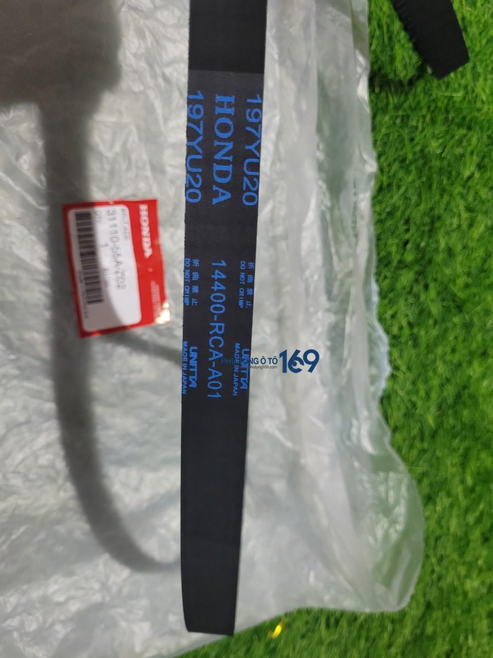 Dây curoa cam Acura MDX Dây curoa cam Acura MDX